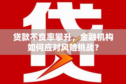 狮潭贷款不良率攀升，金融机构如何应对风险挑战？