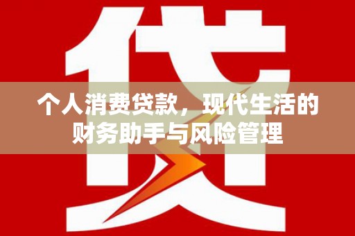 狮潭个人消费贷款，现代生活的财务助手与风险管理