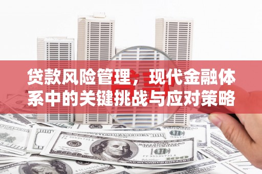 狮潭贷款风险管理，现代金融体系中的关键挑战与应对策略