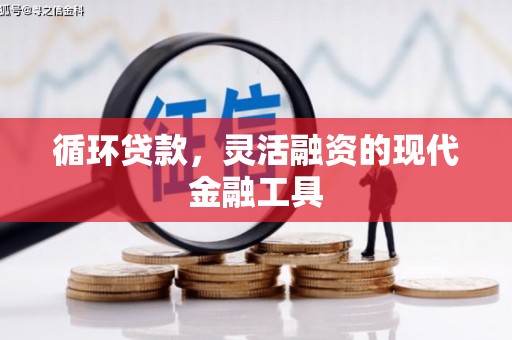 狮潭循环贷款，灵活融资的现代金融工具