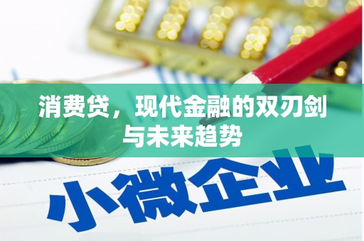 狮潭消费贷，现代金融的双刃剑与未来趋势