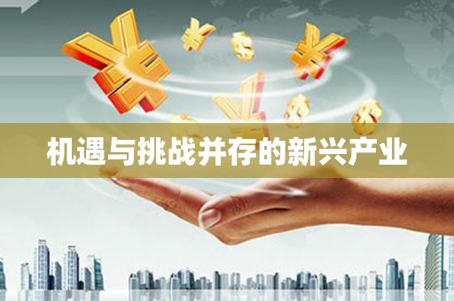 狮潭机遇与挑战并存的新兴产业