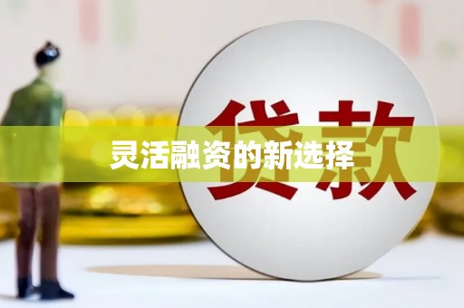 狮潭灵活融资的新选择