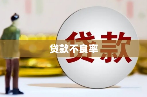 狮潭贷款不良率