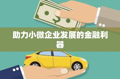 狮潭助力小微企业发展的金融利器