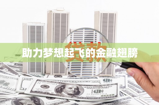 狮潭助力梦想起飞的金融翅膀