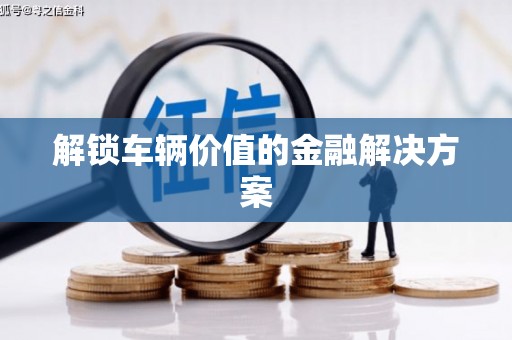 狮潭解锁车辆价值的金融解决方案