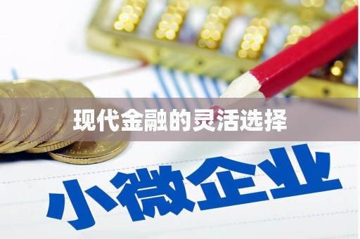 狮潭现代金融的灵活选择