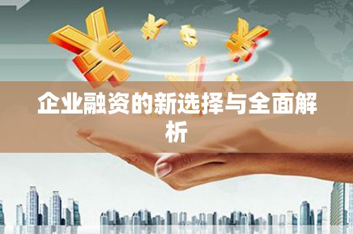 狮潭企业融资的新选择与全面解析