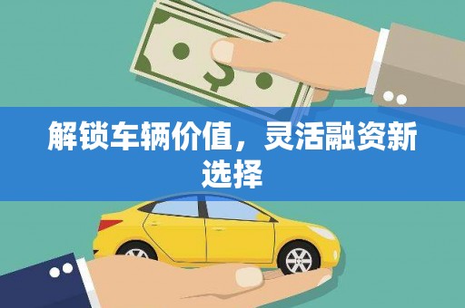 狮潭解锁车辆价值，灵活融资新选择
