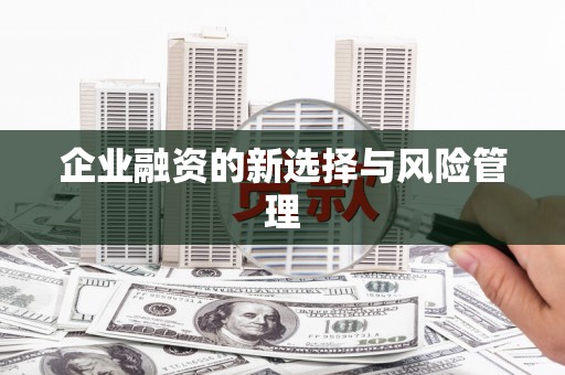 狮潭企业融资的新选择与风险管理