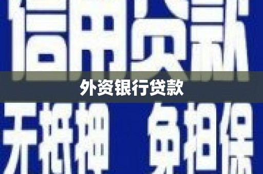 狮潭外资银行贷款