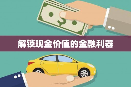 狮潭解锁现金价值的金融利器