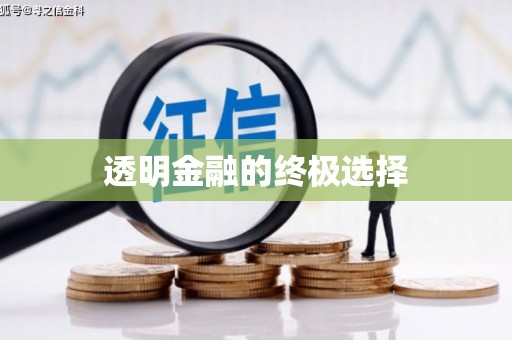 狮潭透明金融的终极选择