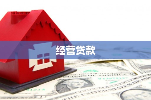 狮潭经营贷款