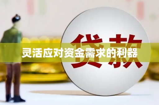 狮潭灵活应对资金需求的利器