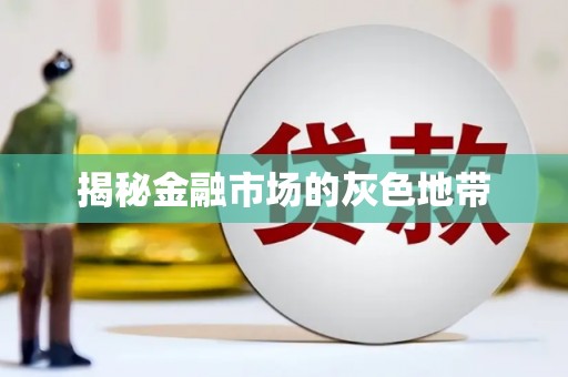 狮潭揭秘金融市场的灰色地带