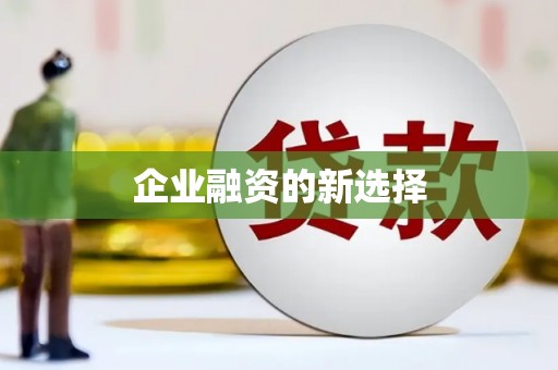 狮潭企业融资的新选择