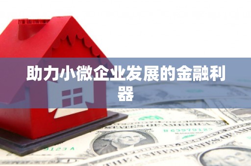 狮潭助力小微企业发展的金融利器