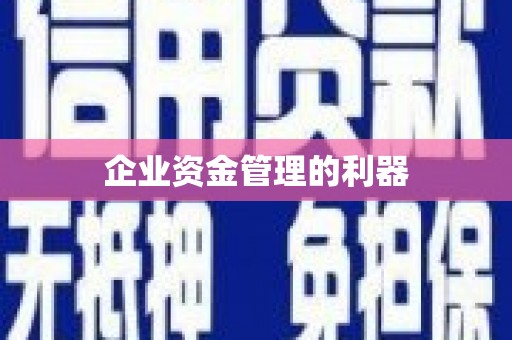 狮潭企业资金管理的利器