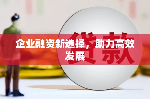 狮潭企业融资新选择，助力高效发展