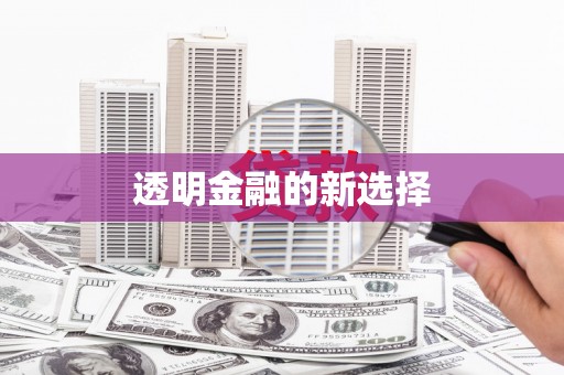 狮潭透明金融的新选择