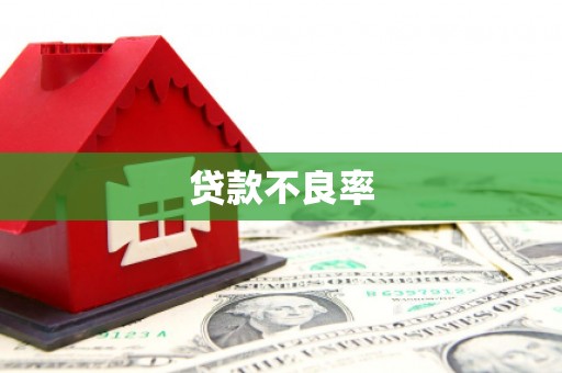 狮潭贷款不良率